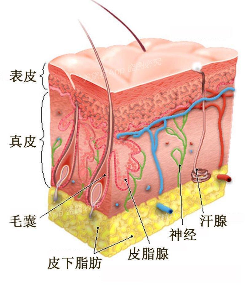 长痘原因你知吗?快看适合哪种医美祛痘